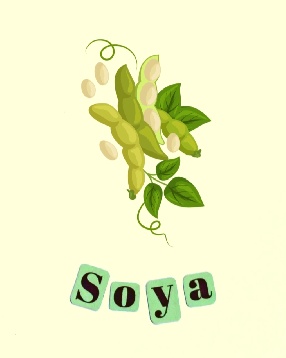 food allergens soya