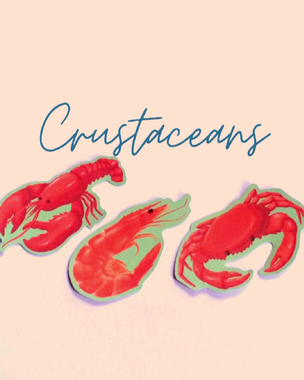Allergens Crustaceans