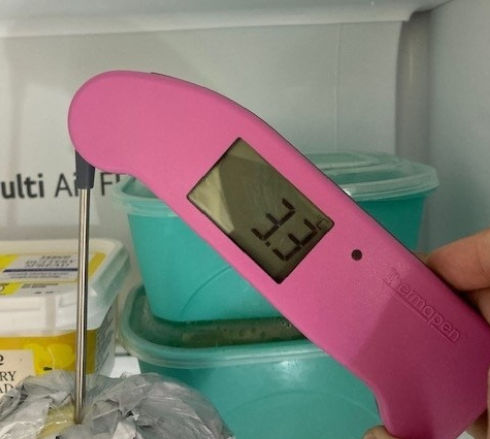 digital temperature probe