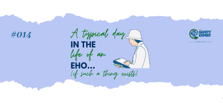 A typical day in the life of an EHO (if such a thing exists) 1 014
